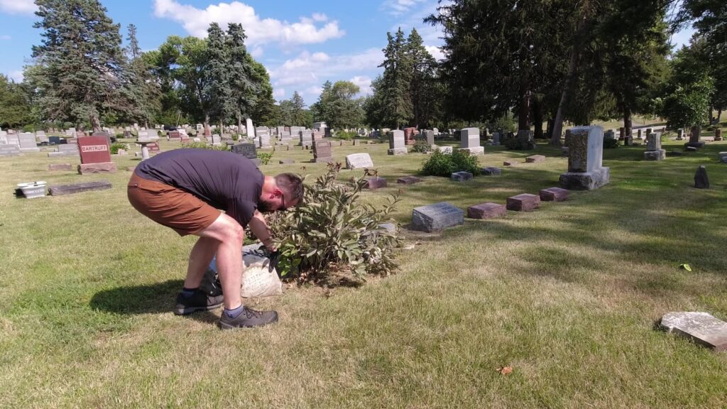 Wade clearing an overgrown peony bush at the cradle grave plot