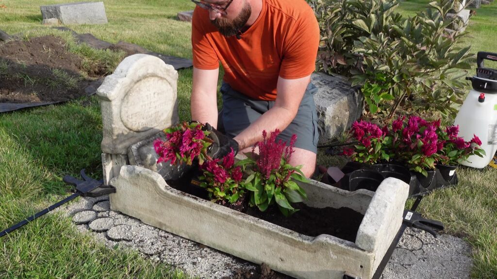 Wade planting fresh flowers in the rebuilt cradle grave